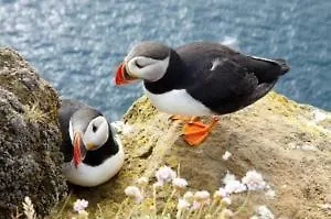 Tory Harbour View Hotel